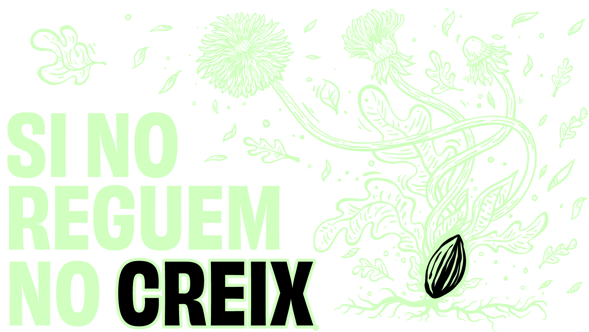 Si reguem, creix